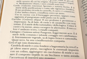 La custode del miele e delle api (2)