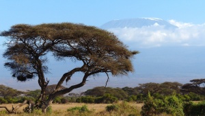 La ragazza del sole - Kenia